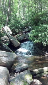 Woods PLUS water? It's over. I'm too happy to rant about anything.